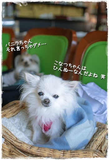 d0179828_18004504.png