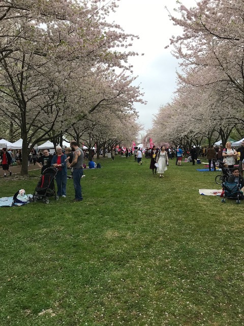 d0269832_05024594.jpeg