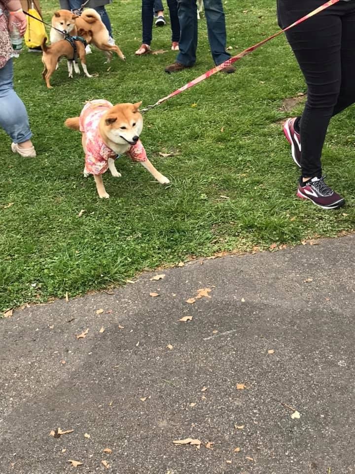 d0269832_05041579.jpeg