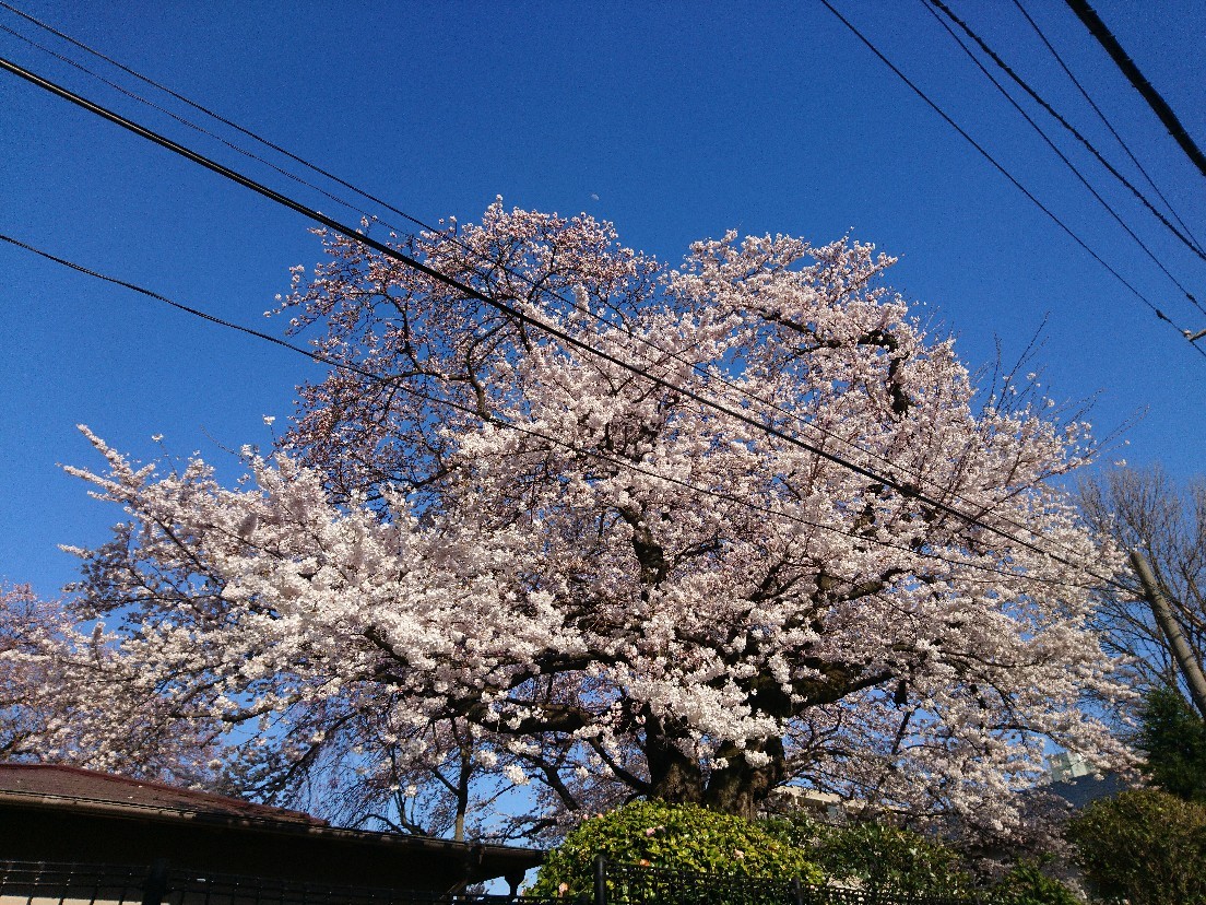 e0263536_22164336.jpg