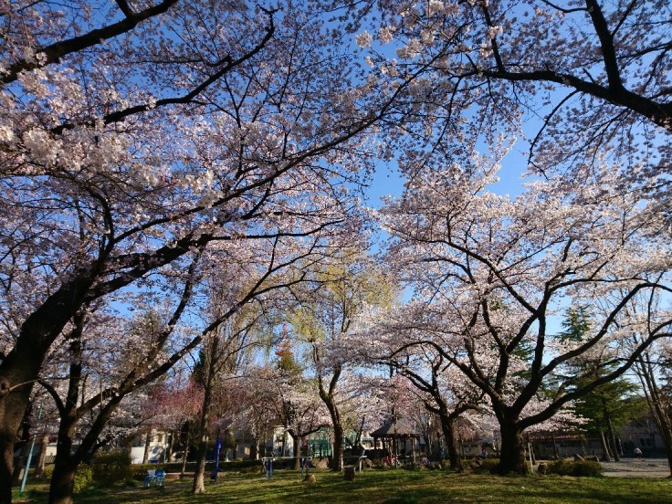 e0263536_22213895.jpg
