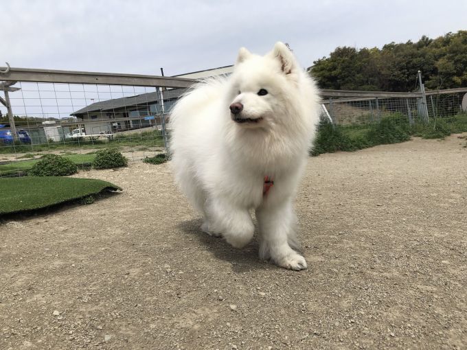 2019年4月 お誕生日オフ その1_f0128542_00584806.jpg