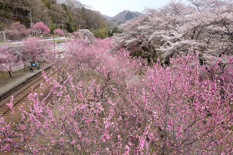 b0325549_20344292.jpg