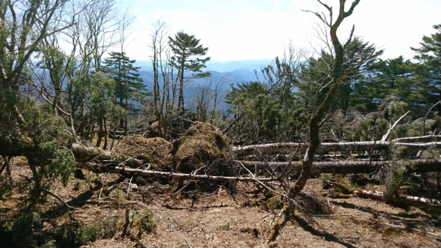 大峰　天川村川合〜栃尾辻〜明星ケ岳ﾋﾟｽﾄﾝ_b0148050_18194876.jpg