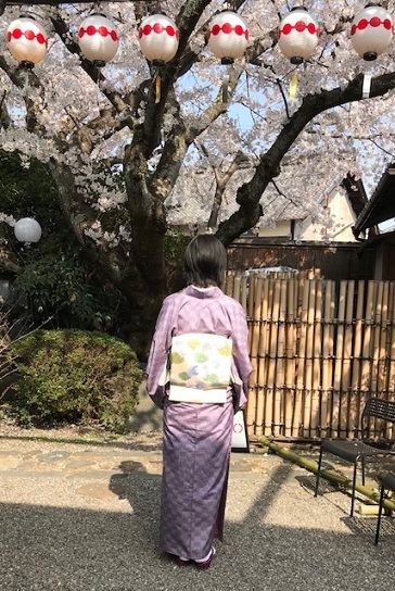北野をどり・桜の下で・ティーカップ御召コーディネイト。_f0181251_11274161.jpg