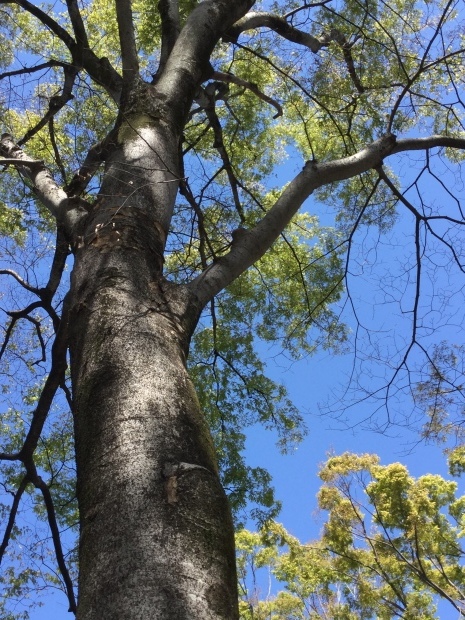c0073152_21172972.jpg