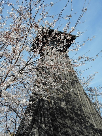 2019年の「花見」(2)_f0197754_19223575.jpg