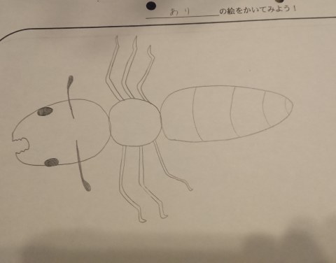 アリの絵 Sakamichi