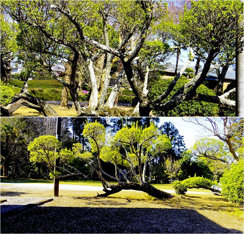 f0214467_02420292.jpg