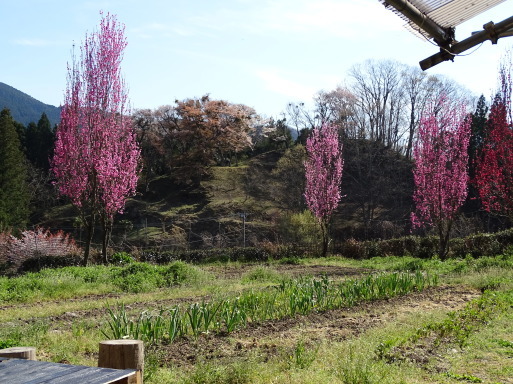 b0159780_02242038.jpg