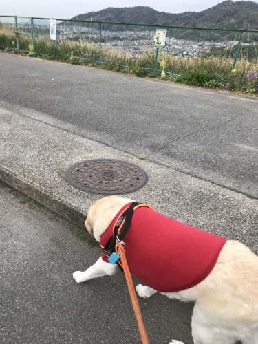 f0315081_22230938.jpeg