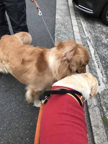 f0315081_22242657.jpeg