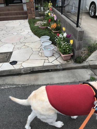 f0315081_22285146.jpeg