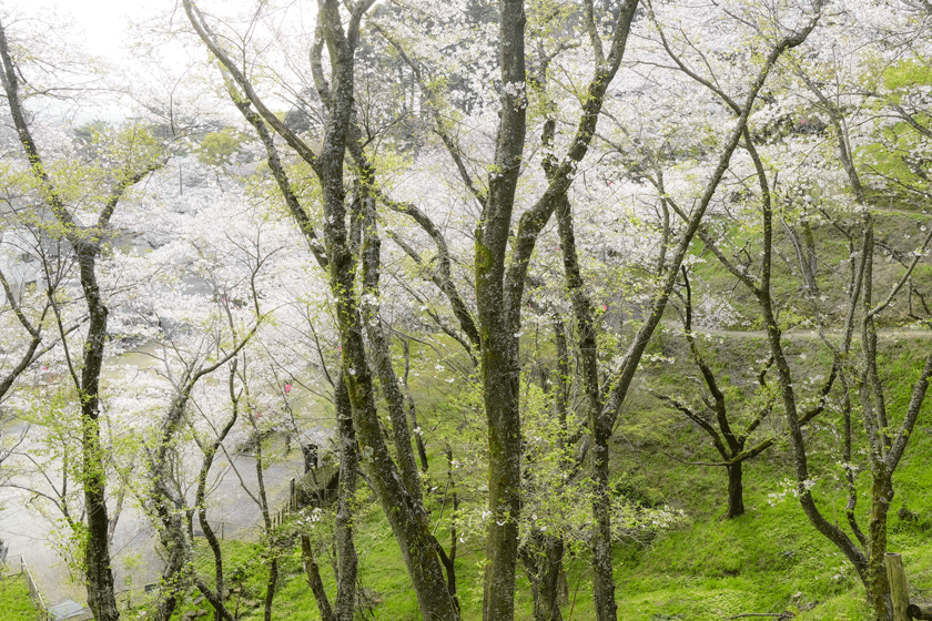 e0243382_21471560.gif