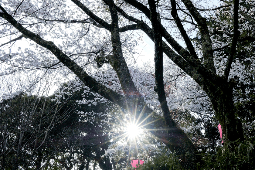 e0243382_21473200.gif