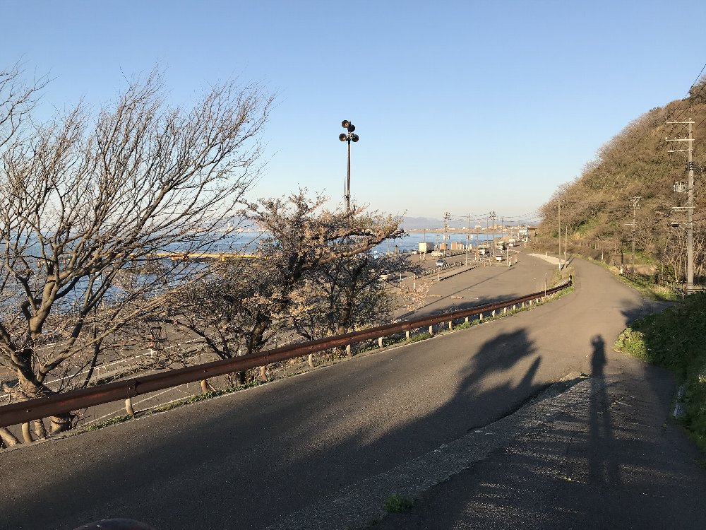 郷津海岸！_e0065084_1851581.jpg