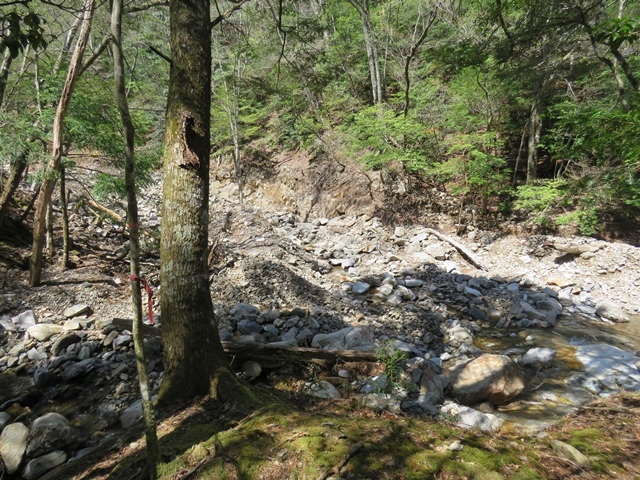 藤河内渓谷、観音滝、立松谷から木山内岳。_f0357487_10495777.jpg