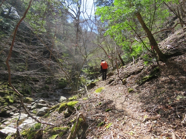 藤河内渓谷、観音滝、立松谷から木山内岳。_f0357487_10584453.jpg