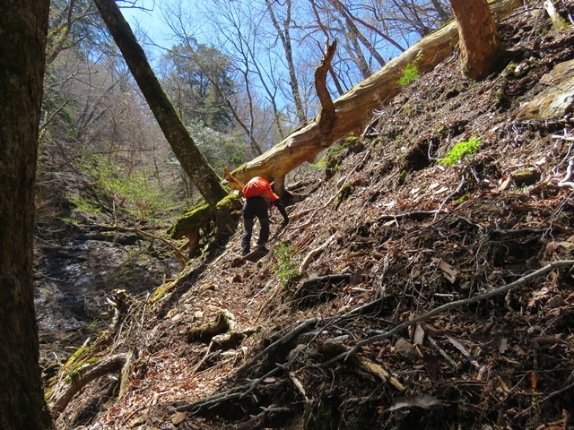 f0357487_11080799.jpg