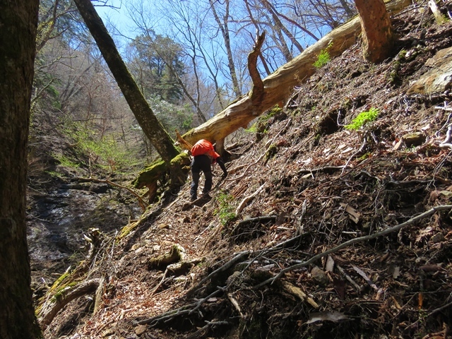 藤河内渓谷、観音滝、立松谷から木山内岳。_f0357487_11080799.jpg