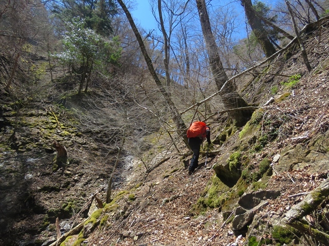 藤河内渓谷、観音滝、立松谷から木山内岳。_f0357487_11084127.jpg