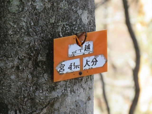 f0357487_11093301.jpg
