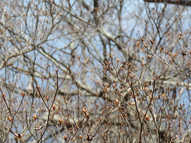 f0357487_11124898.jpg