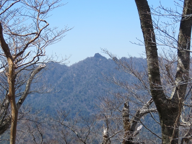 藤河内渓谷、観音滝、立松谷から木山内岳。_f0357487_11164557.jpg