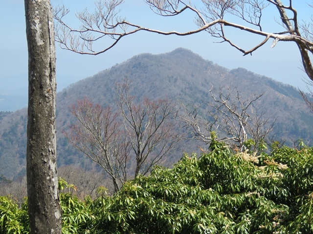 藤河内渓谷、観音滝、立松谷から木山内岳。_f0357487_11231970.jpg