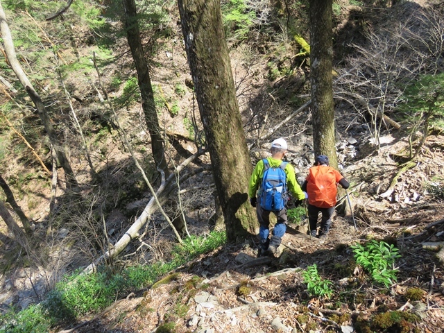 藤河内渓谷、観音滝、立松谷から木山内岳。_f0357487_11281204.jpg