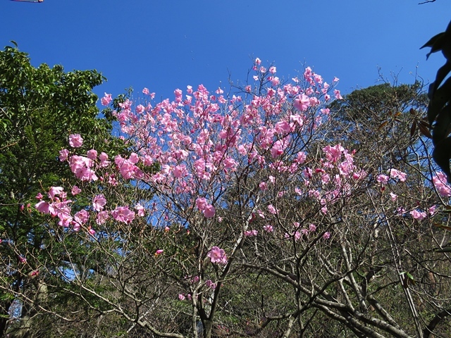 藤河内渓谷、観音滝、立松谷から木山内岳。_f0357487_11372623.jpg