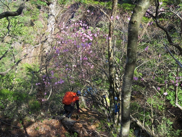 藤河内渓谷、観音滝、立松谷から木山内岳。_f0357487_11375816.jpg