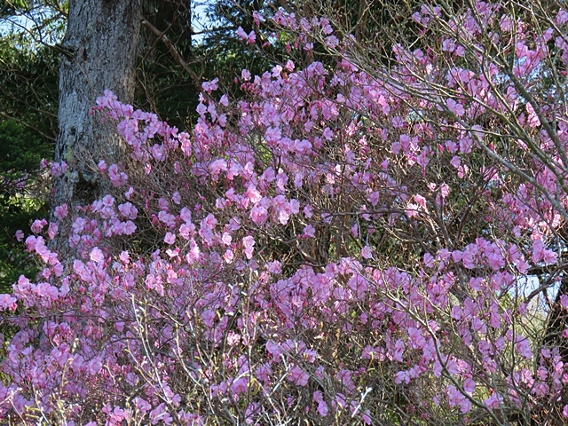 藤河内渓谷、観音滝、立松谷から木山内岳。_f0357487_11382286.jpg