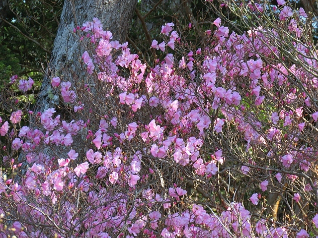 f0357487_11384580.jpg