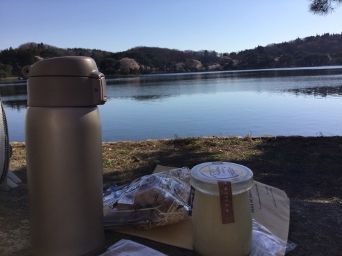 桜前線が白河市にも到達しました♪(*^▽^*)_c0140599_13470921.jpeg