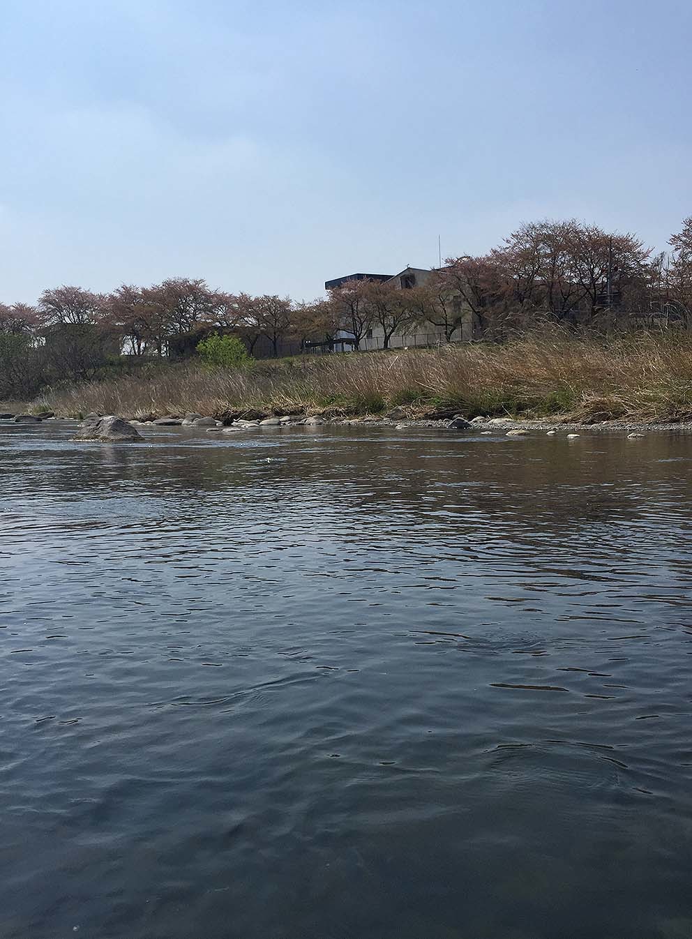 こちらもハイプレッシャー_c0095801_16191837.jpg