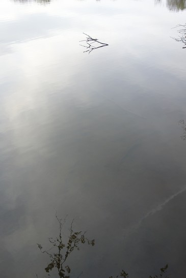e0206902_16315228.jpg
