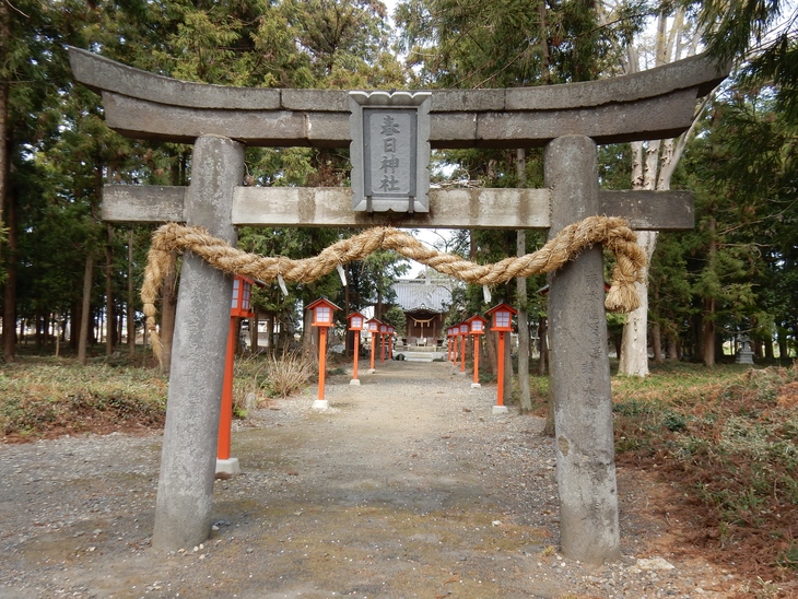 春日神社の桜のトンネル 栃木県栃木市 Lotus 御朱印紀行２