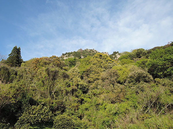 d0168406_15235850.jpg