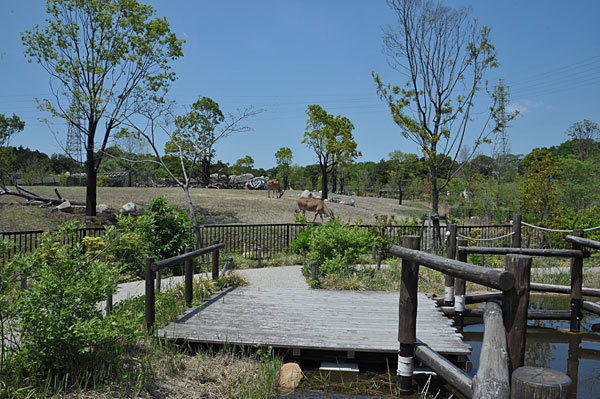 a0278809_14151057.jpg