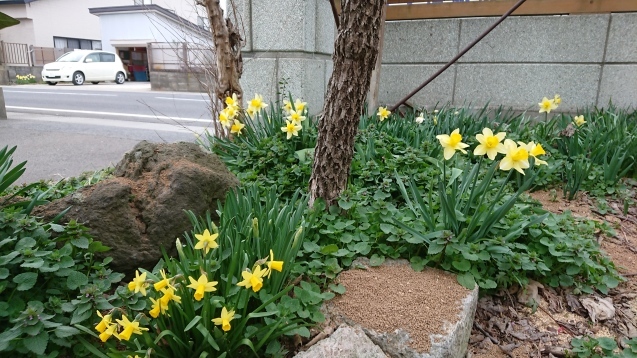b0035611_21374310.jpg