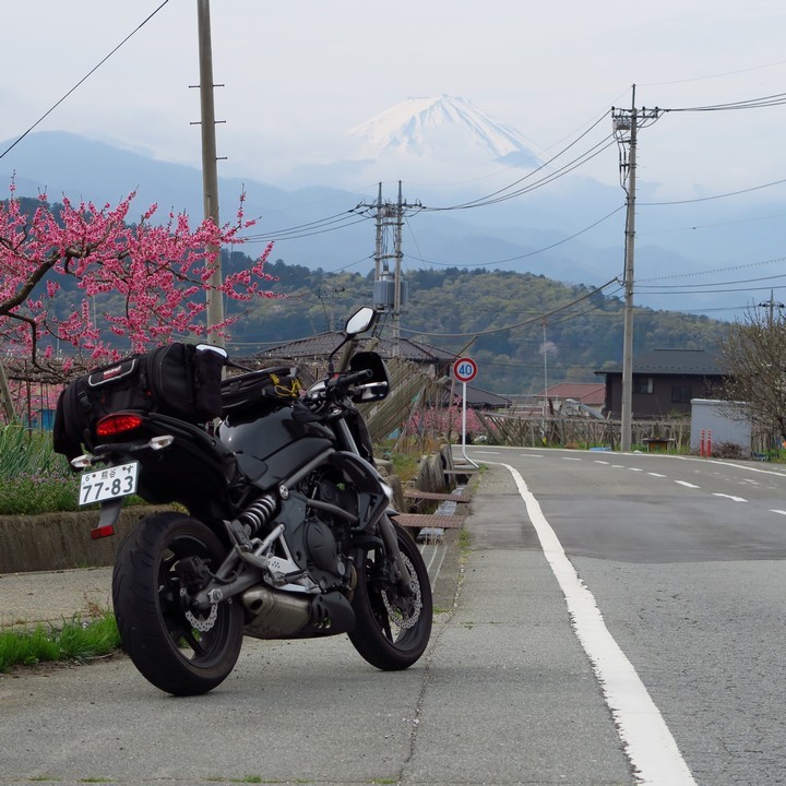a0268412_23153068.jpg