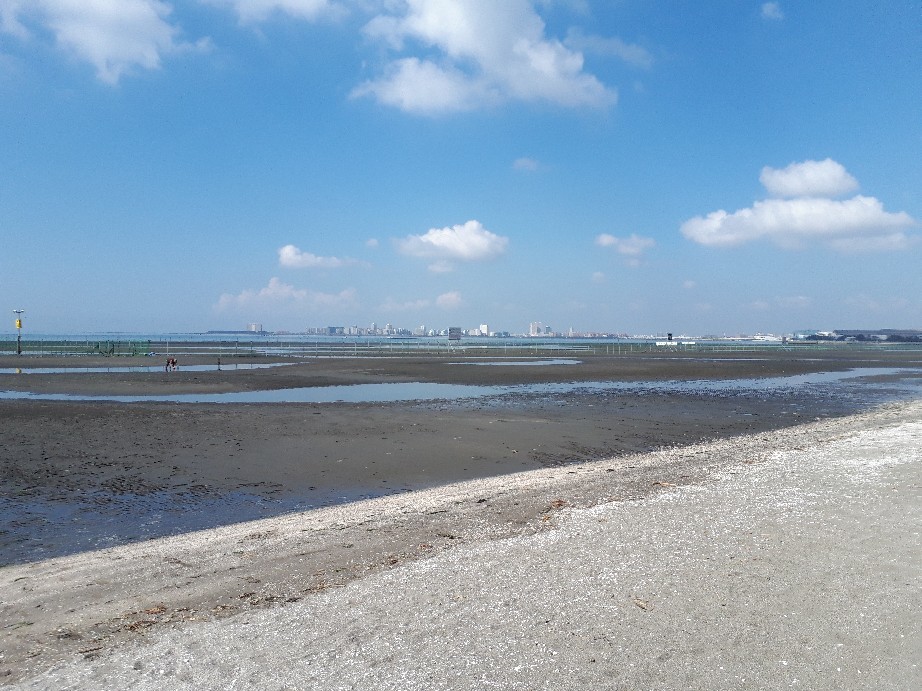 b0133713_14293695.jpg