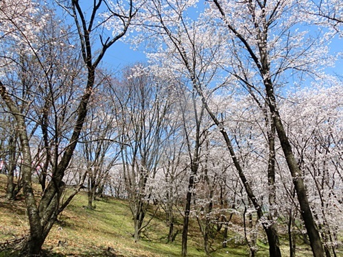 e0234924_16524560.jpg