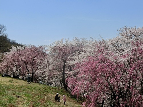 e0234924_17013000.jpg