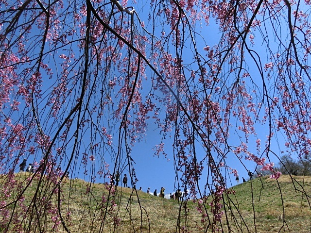 e0234924_17020026.jpg
