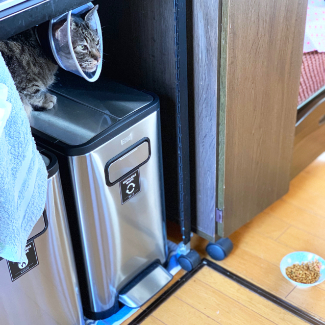 食いしん坊なぼくの隠れ場所_d0355333_16382936.jpg