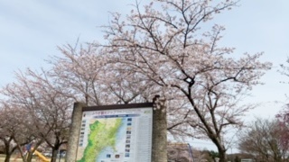 d0178136_15540048.jpeg