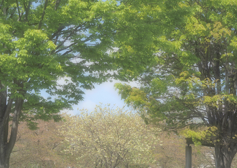 d0290240_11072321.gif