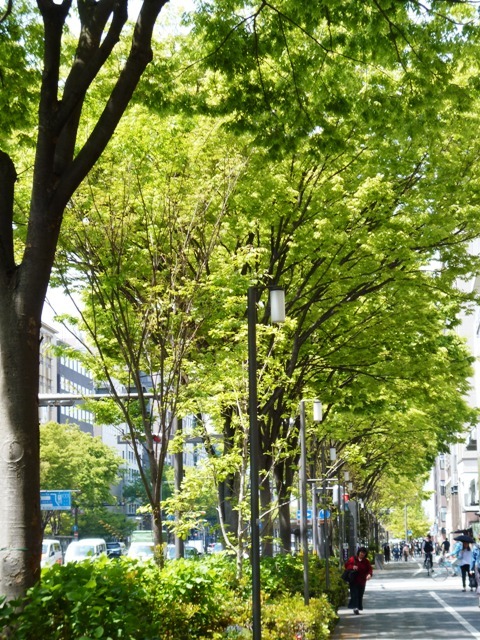 春うらら_e0230141_21031332.jpg
